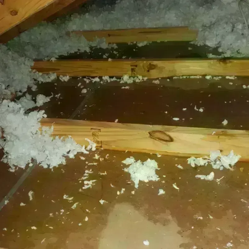 Attic Water Damage in Pahala, HI